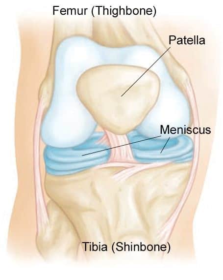 Meniscus diagram