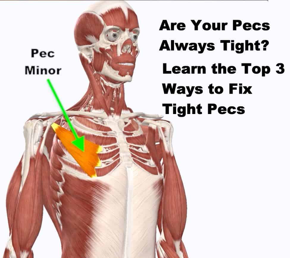 I was wondering what was wrong with my pecs/lower chest and how to