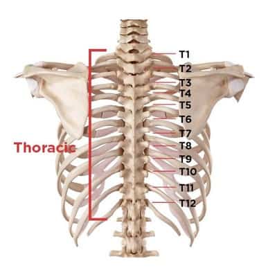 upper back pain spine example
