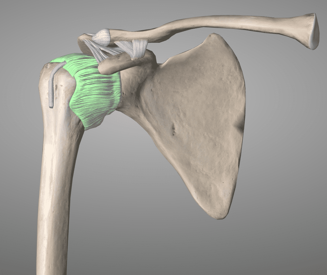 Beat Frozen Shoulder | Stages of Frozen Shoulder at DPT Scottsdale