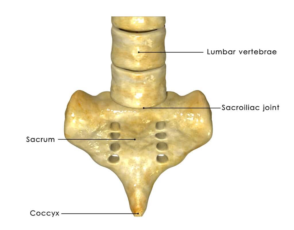 Sacroiliac Joint