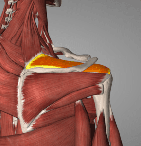 Lifting With A Rotator Cuff Injury - The Doctors Of Physical Therapy