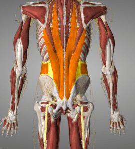 Do you Have Back Pain or Sciatica  Treatment for Back Pain & Sciatica