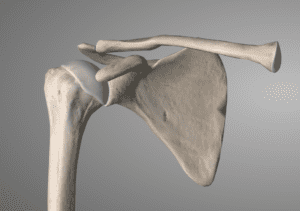 Anterior view of shoulder for shoulder arthritis